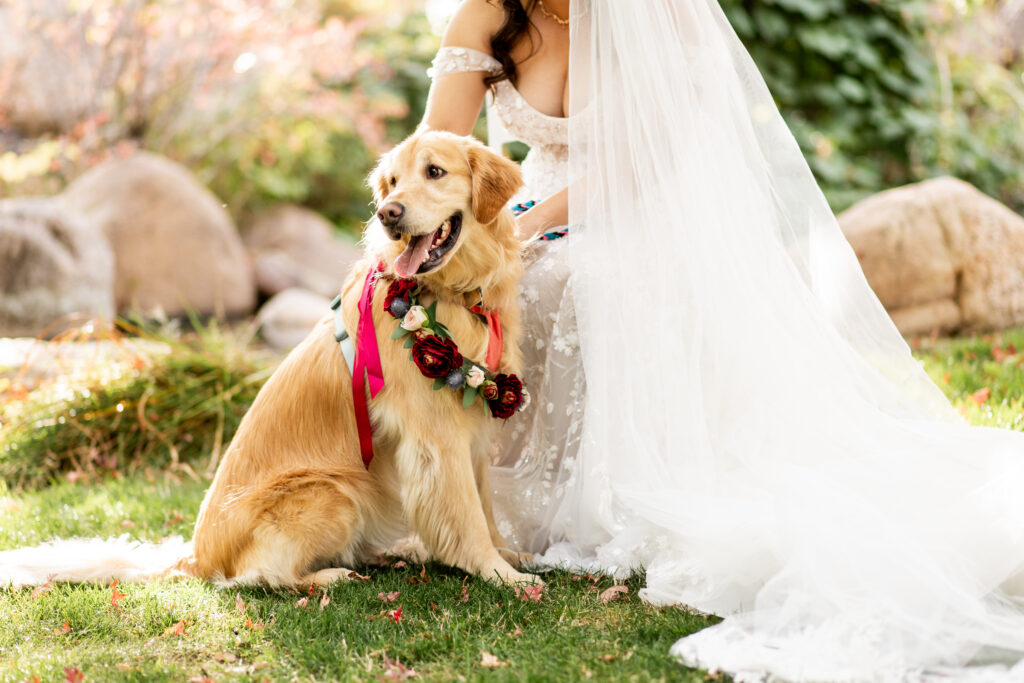  Colorado Wedding Photographer