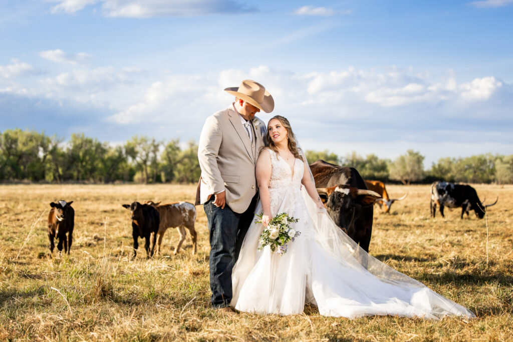 Wedding couple with longhorn cows ranch wedding Colorado Wedding Photographer Colorado Wedding Photographer