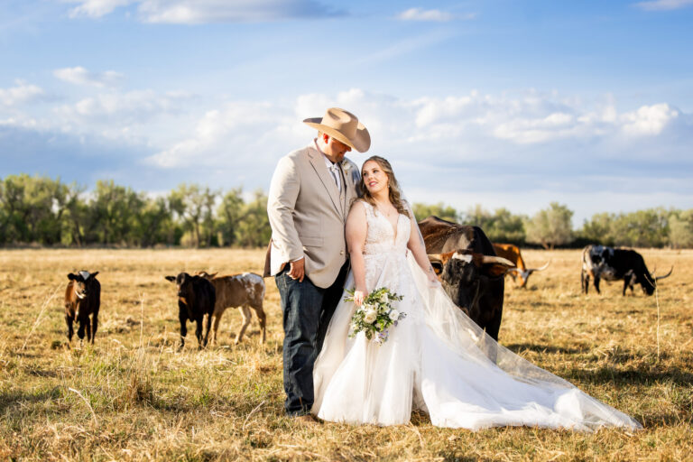 Wedding couple with longhorn cows ranch wedding Colorado Wedding Photographer Colorado Wedding Photographer