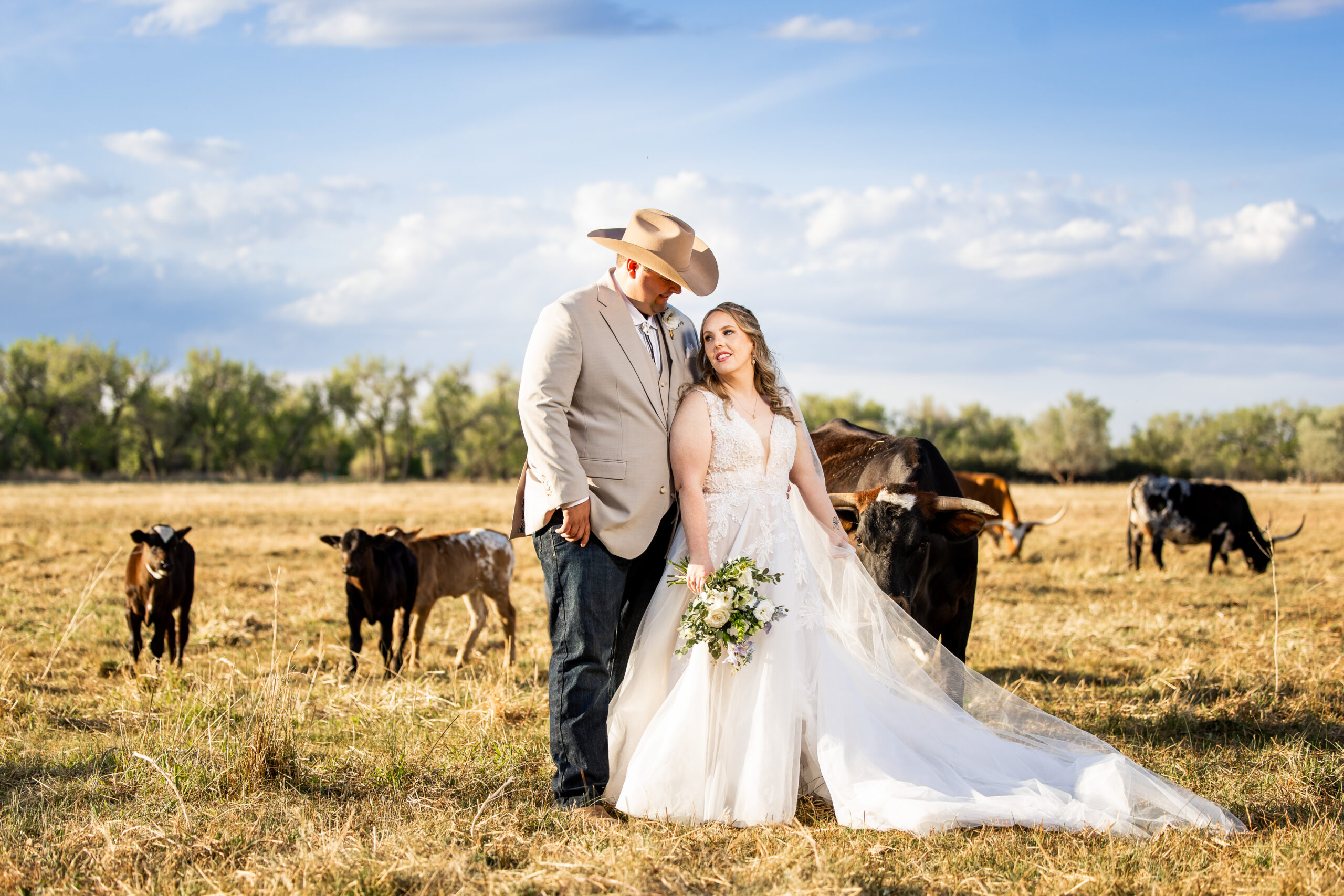 Wedding couple with longhorn cows ranch wedding Colorado Wedding Photographer